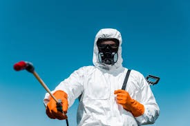 Best Bed Bug Extermination  in Green Island, NY